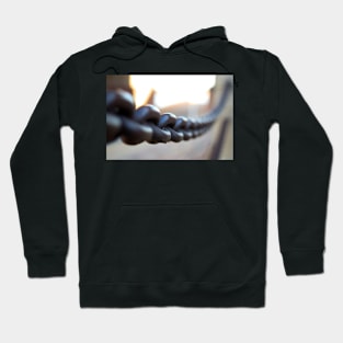 Focal Link Hoodie